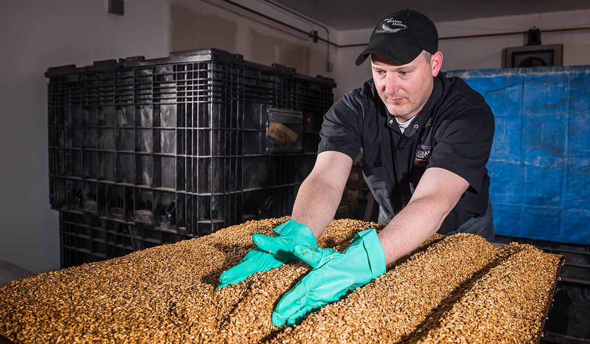 smoked malt